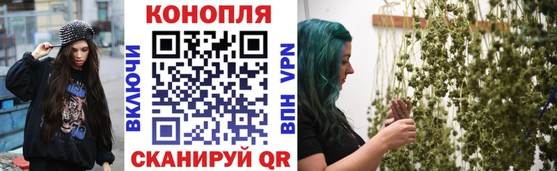 Купить закладки  Тотьма  Шишки марихуана сатива 